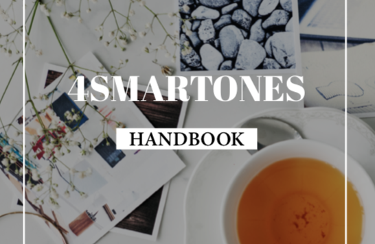 4SMARTONES Program Srednji